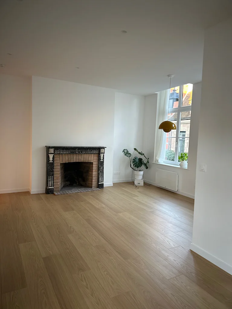 Rénovation d'un T2 dans le Vieux-Lille - après, le séjour et sa cheminée